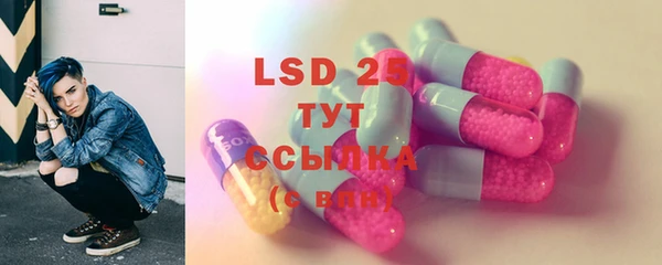 PSILOCYBIN Баксан